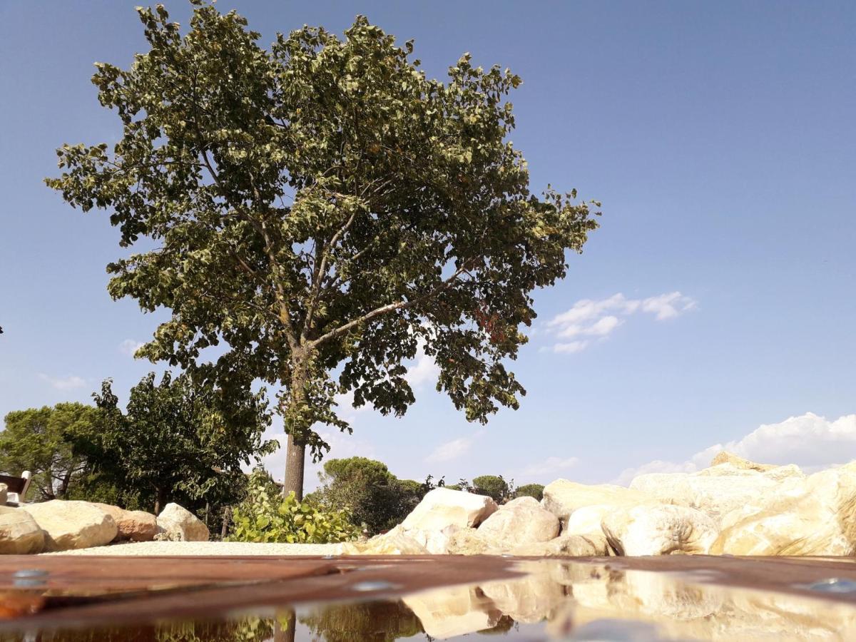 Castello Nuovo Di Fiore - Appartamento 1 Eksteriør bilde