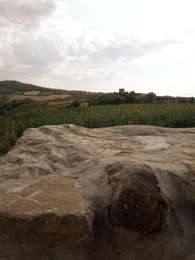 Castello Nuovo Di Fiore - Appartamento 1 Eksteriør bilde